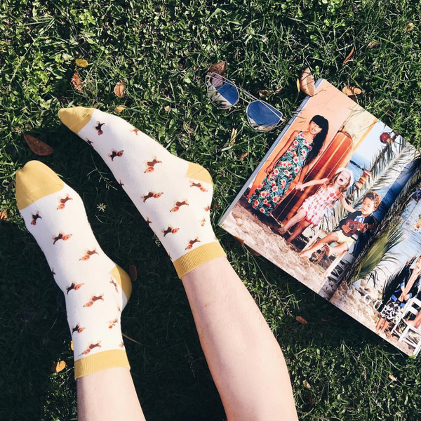 Beagle - TIFFY SOCKS 